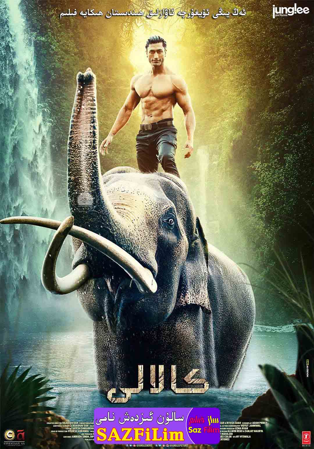 كالالى-sumruh.com،سۇمرۇغ تورى，苏木如歌