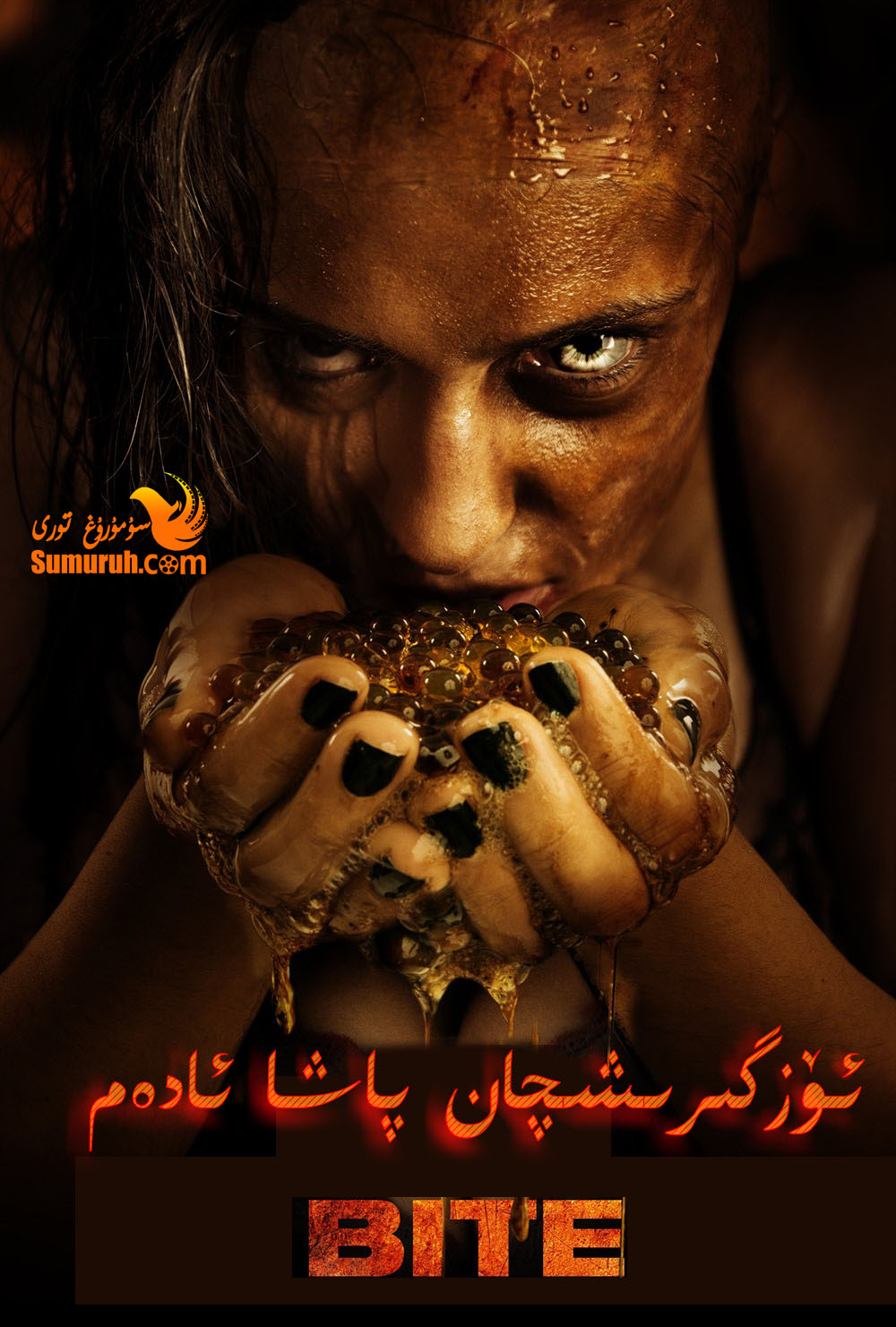 ئۆزگىرىشچان پاشا ئادەم خەتلىك-sumruh.com،سۇمرۇغ تورى，苏木如歌