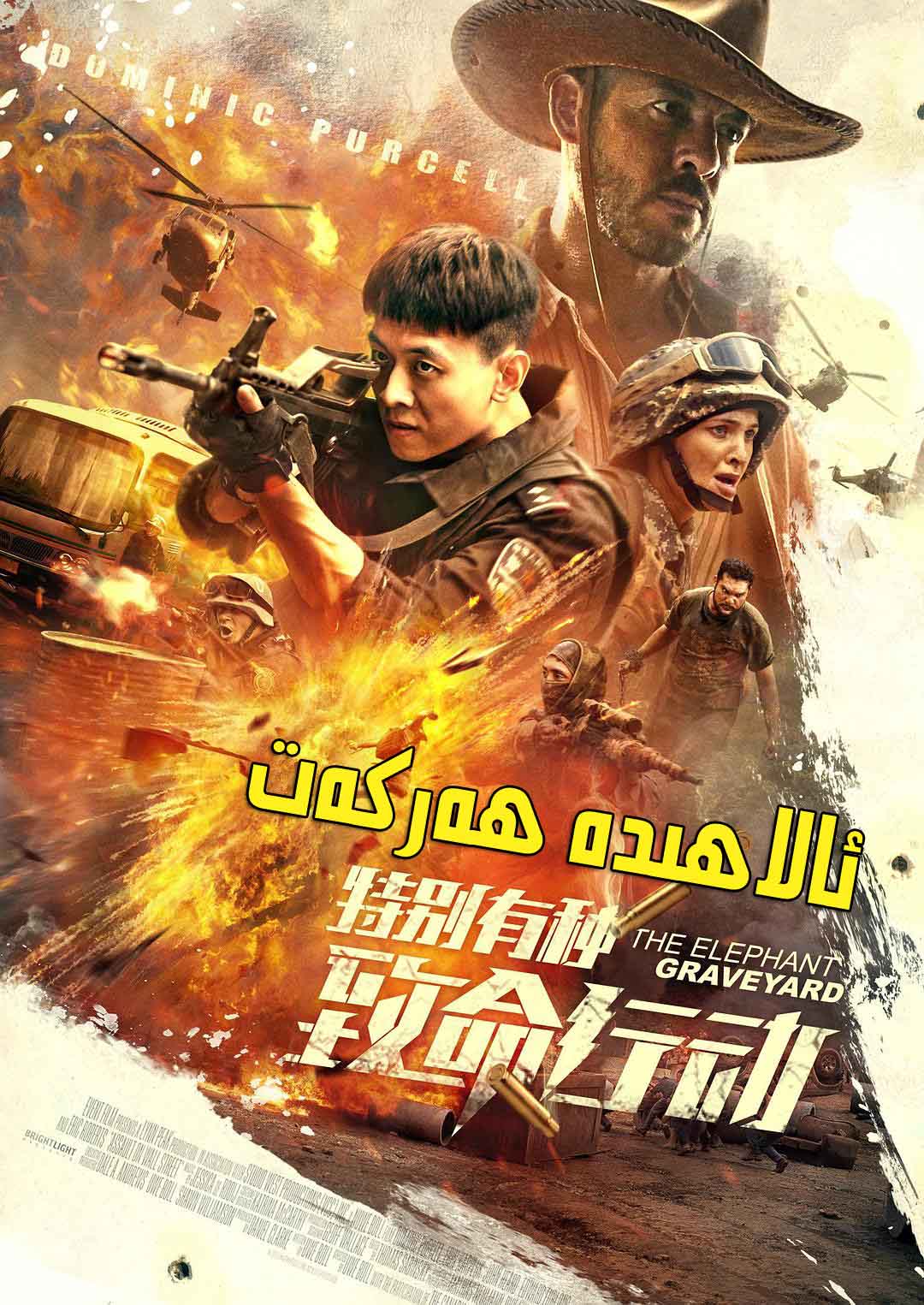 ئالاھىدە ھەركەت-sumruh.com،سۇمرۇغ تورى，苏木如歌